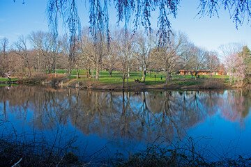 Fototapeta na wymiar Reflections of local trees, vegetation, and sky, in small lake at Holmdel Park, New Jersey, on a sunny day -08