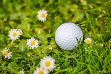 Close-up of a golf ball lying in green grass.