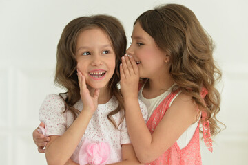 Studio portrait of cute  twin sisters sharing secret