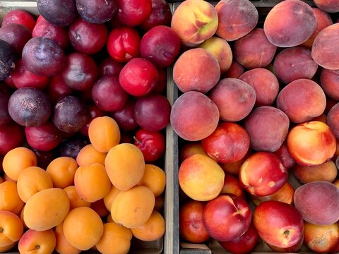 Farmer’s market: fresh organic apricot, plum, peach and nectarine in a wooden box