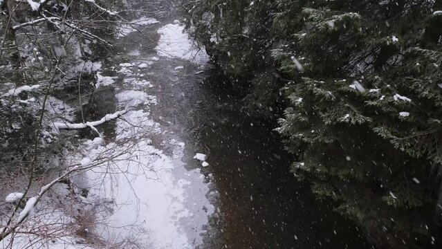Snowfall on the winter forest mountain river in Carpathians, Prut River, Mykulychyn, Ukraine. Wild Mountain River Flowing in canyon with Stone Boulders and Stone Rapids.
