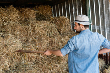 farmer in brim hat and denim shirt stacking dry hay on farm.