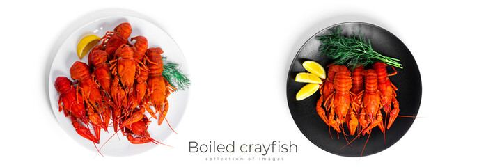 Boiled crayfish with dill and lemon isolated on a white background.