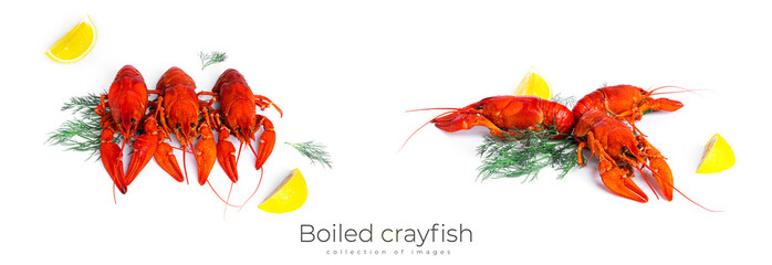 Boiled crayfish with dill and lemon isolated on a white background.