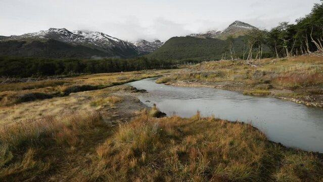 Idyllic rural scenery. View of the glacier water stream flowing across the yellow meadow and forest early in the morning. The Andes mountains in the background.