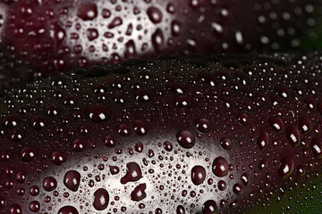 Abstract texture of water drop background