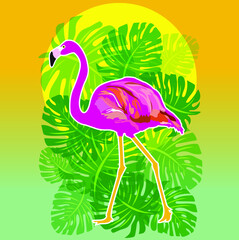 PINK FLAMENCO WITH A BACKGROUND OF TROPICAL GREEN LEAVES AND YELLOW SUN WITH GRADE