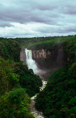 waterfall in the forest