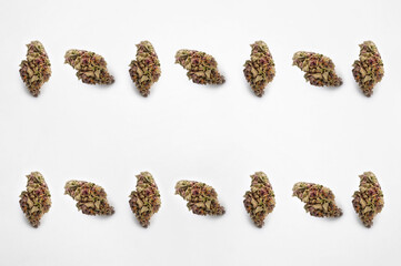 Medicinal cannabis on white background, beautiful flower marijuana