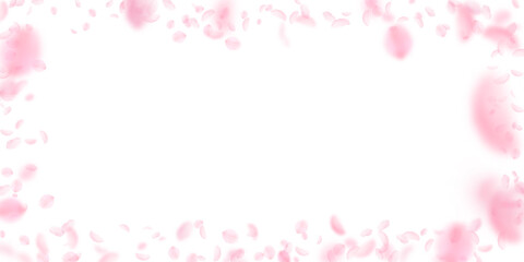 Sakura petals falling down. Romantic pink flowers frame. Flying petals on white wide background. Love, romance concept. Original wedding invitation.