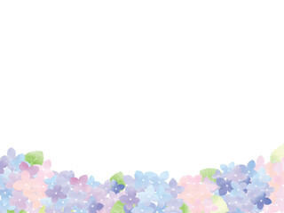 水彩の紫陽花（アジサイ）のイラスト素材