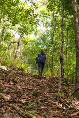 HOMEM ANDADANDO NA FLORESTA