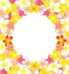 プルメリアの花飾りのゴージャスなスクエアフレームのイラスト
