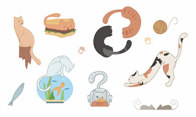 Vector image of flat, isolated cats on a white background. Cats and kittens lie, play, spin the ball, cutely pull themselves up, hide in a basket. The illustration has animals, fish, cat paws, food, a