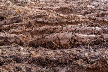 Background of plowed land