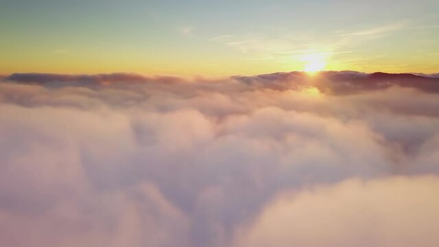 4K Drone flies in the clouds. Flight through the clouds during sunrise, top view of the clouds from the drone. National Park Shipit Karpat. Carpathians, Pylypets, Ukraine. 