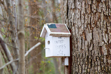 Bird House in the Woods 