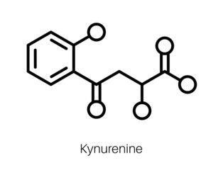 Kynurenine chemical formula