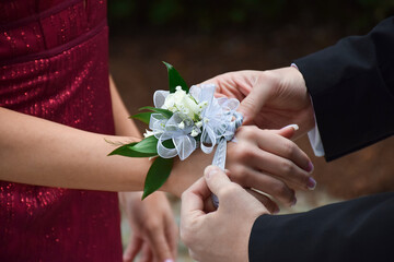 Young man putting white rose corsage on his prom date hand - obrazy, fototapety, plakaty