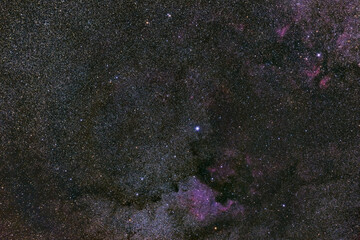 Constellation of Cygnus,  Deneb and Sadr region. Pelican and North America nebula in the middle of the Milky Way.  Night sky stars chart and background