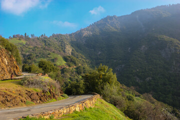 Fototapeta premium Ash Mountain and Sequoia Foothills Along the Generals Highway, Sequoia National Park, California, USA