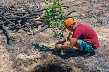 child takes a tree to plant it