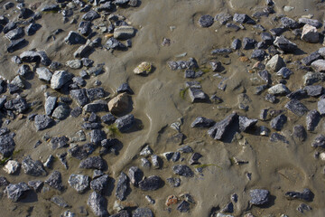 close up Seaside beach with pebbles.