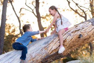 Niños felices jugando divertidos disfrutando subiendo escalando trepando un árbol un tronco en el parque al aire libre en un atardecer - obrazy, fototapety, plakaty