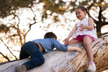 Niños felices jugando divertidos disfrutando subiendo escalando trepando un árbol un tronco en el parque al aire libre en un atardecer - obrazy, fototapety, plakaty