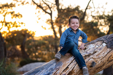 Niño feliz guapo tierno sonriendo trepado subiendo en un árbol en el parque modelando posando en un atardecer - obrazy, fototapety, plakaty