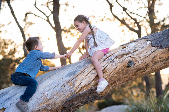 Ni&ntilde;os felices jugando divertidos disfrutando subiendo escalando trepando un &aacute;rbol un tronco en el parque al aire libre en un atardecer