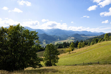 Fototapeta na wymiar Beautiful mountain landscape with field and forest on sunny day