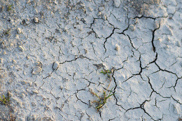 Parched cracked earth closeup