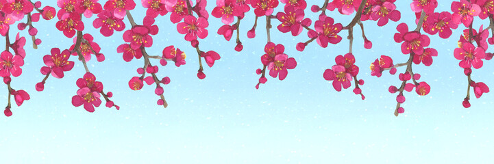 梅の花の水彩イラスト