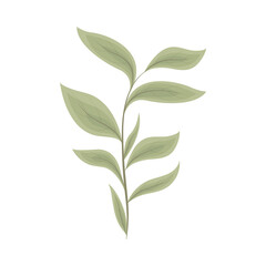 leaves nature flat icon