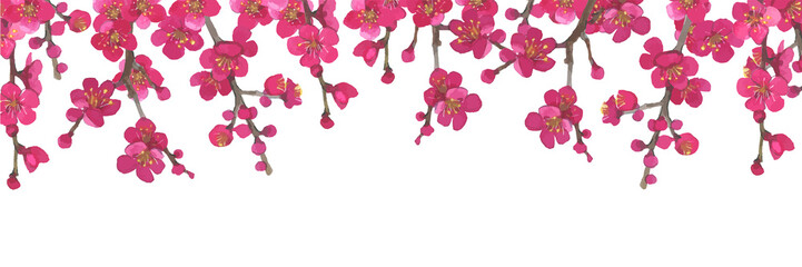 Fototapeta na wymiar 梅の花の水彩イラスト