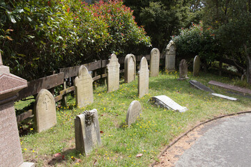 Naklejka premium Bolton Street Cemetery in Wellington, New Zealand.
