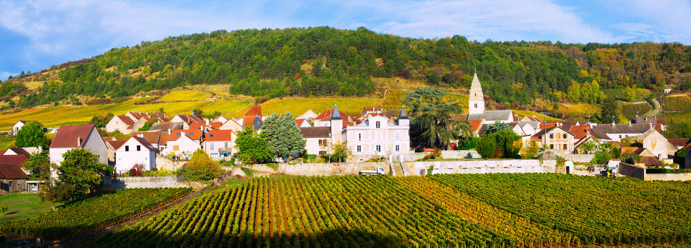 Image of Saint-Aubin, Burgundy - french village with famous vineyards at sunny day