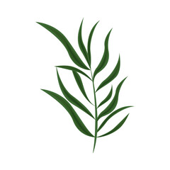 branch nature icon