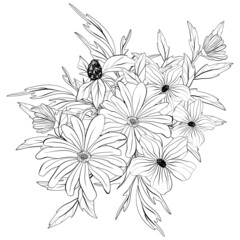 Bouquet of wild flowers. Composition from botanical elements. Flowers and leaves in line art style. Flower coloring page.