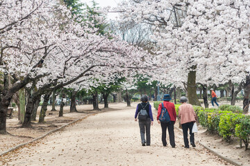 Fototapeta premium walking in a park with friends