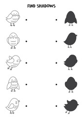 Find the correct shadows of black and white birds. Logical puzzle for kids.