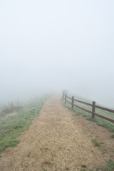 Fototapeta na wymiar Into the Mist