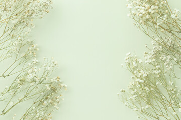 Gypsophila flowers on green pastel background, Minimalism, Spring flower blosssom concept, Flat lay, top view, copy space