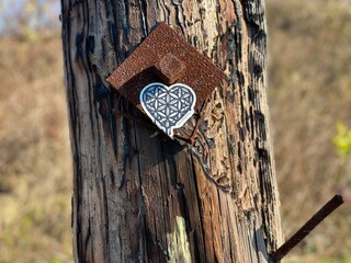 heart on the tree