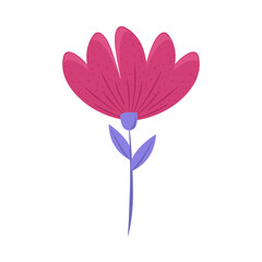 pink flower icon