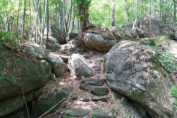 Fototapety na wymiar - Fototapeta24.pl