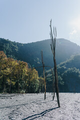 Dead branches on the riverbank of the Wanda North Fork Hot Spring, Taiwan