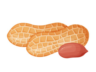 Peanut. Nuts in shell and peeled in cartoon style. Healthy vegetarian snack.