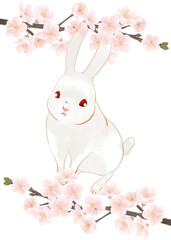 桜の花に囲まれたウサギのイラスト／Illustration of a rabbit surrounded by cherry blossoms